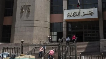 فرص عمل جديدة.. مجلس الدولة يطلب تخصصات متنوعة للتعيين في وظائف حكومية